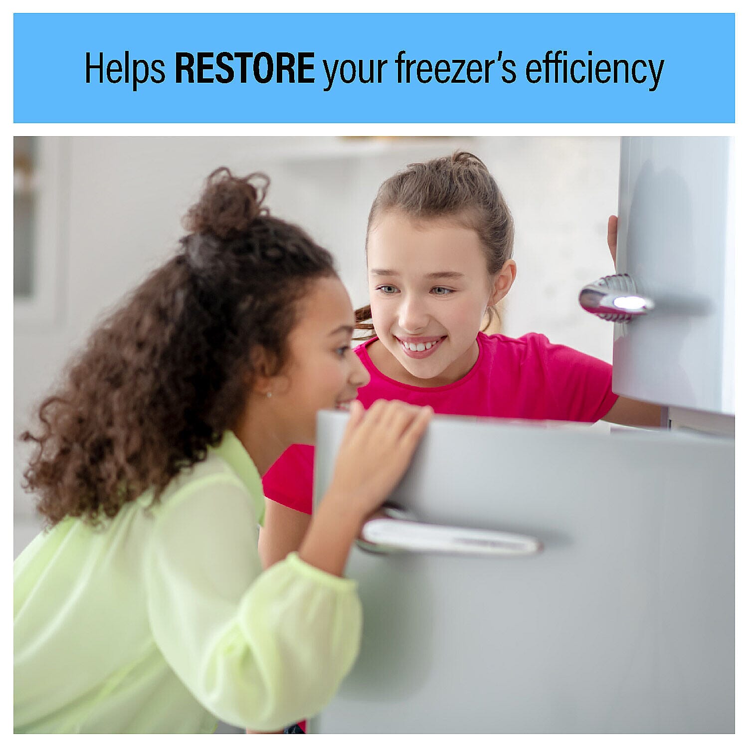 Homesmart - Freezer Defroster - Spray Nozzle Included 1000ml