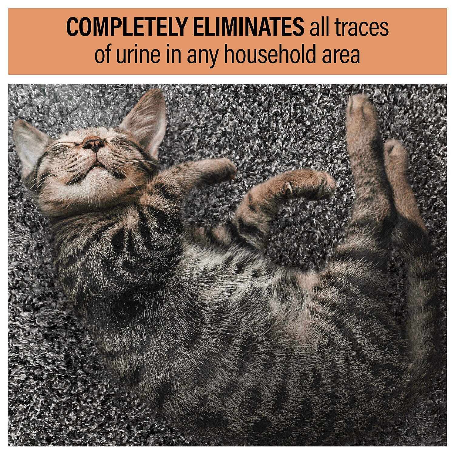 Homesmart - Pet & Stain Spot Remover - Spray Nozzle Included - 1000ml