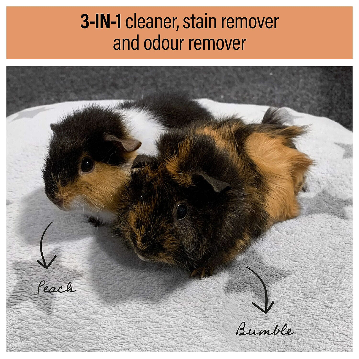 Homesmart - Pet & Stain Spot Remover - Spray Nozzle Included - 1000ml