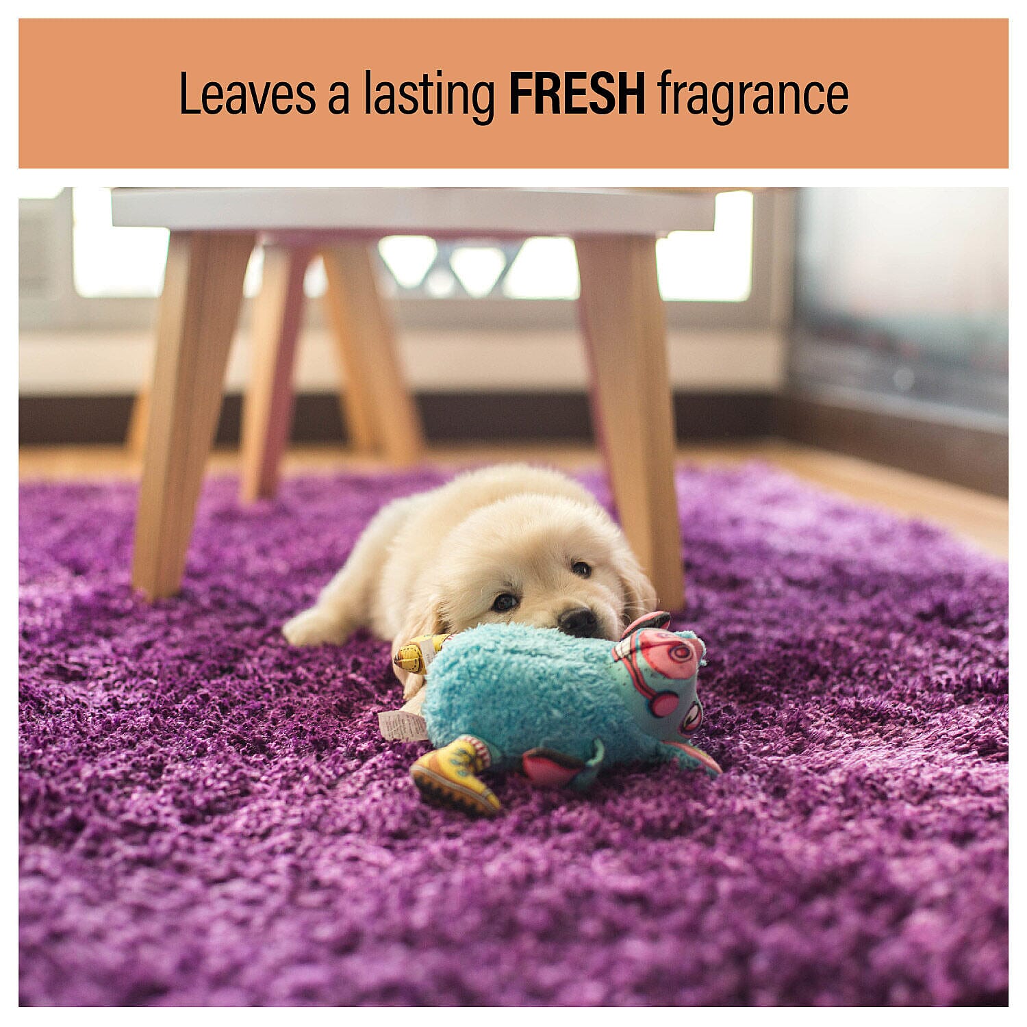 Homesmart - Pet & Stain Spot Remover - Spray Nozzle Included - 1000ml