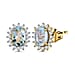 Aquamarine and Natural Cambodian Zircon Earrings (with Push Post) in Platinum Overlay Sterling Silver 2.274 Ct.