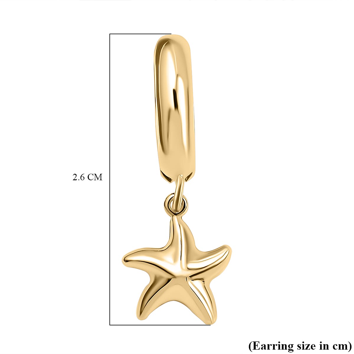 Las Vegas Closeout Deal - 9K Yellow Gold Star Earrings