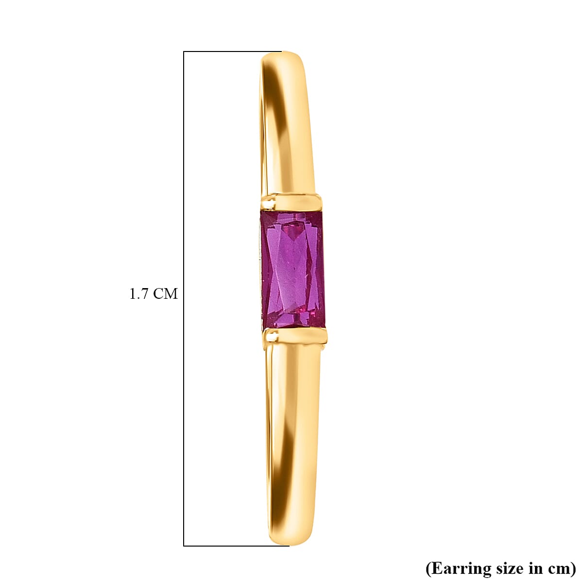 9K Yellow Gold Ruby Hoop Earrings with Clasp 0.20 Ct.