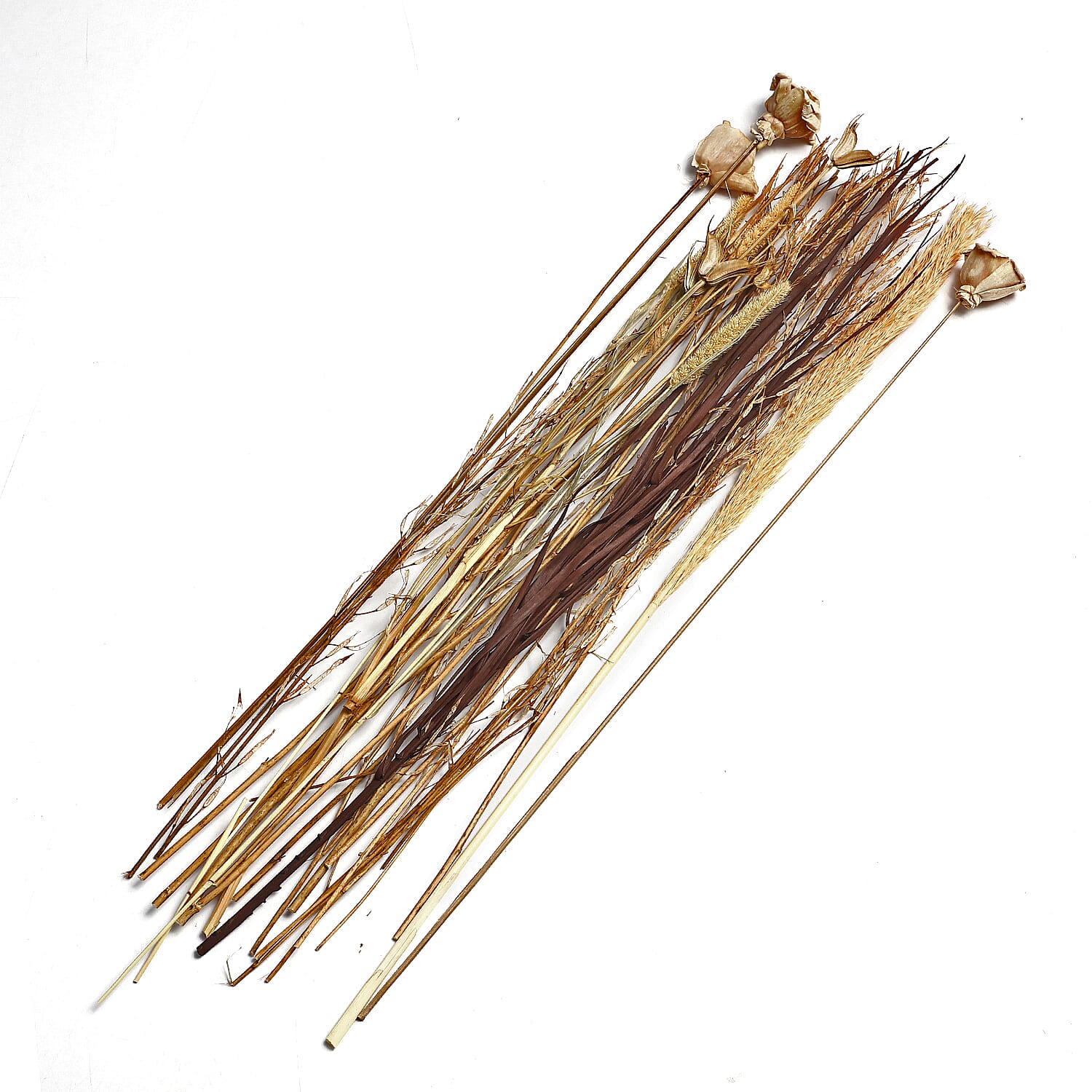 Dried Floral Arrangement Home Decor in Paper Tray with Khajur Baby Grass & Sola Thai Rose - Brown