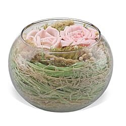 5th Season Dried Floral Collection - Light Green and Light Blue