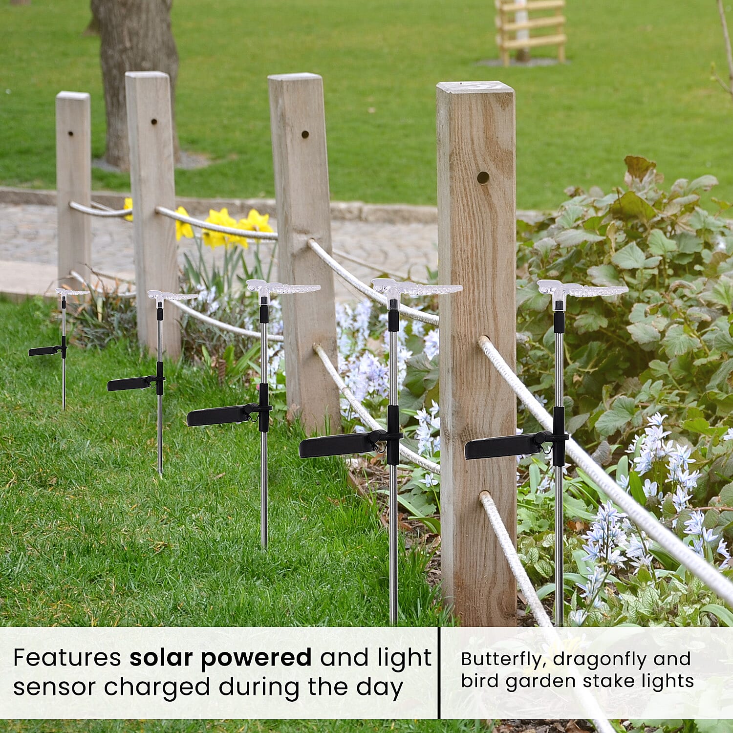 Pack of 6 - Butterfly, Hummingbird & Dragonfly Solar Powered Lawn Lights (Size 53 cm) -White