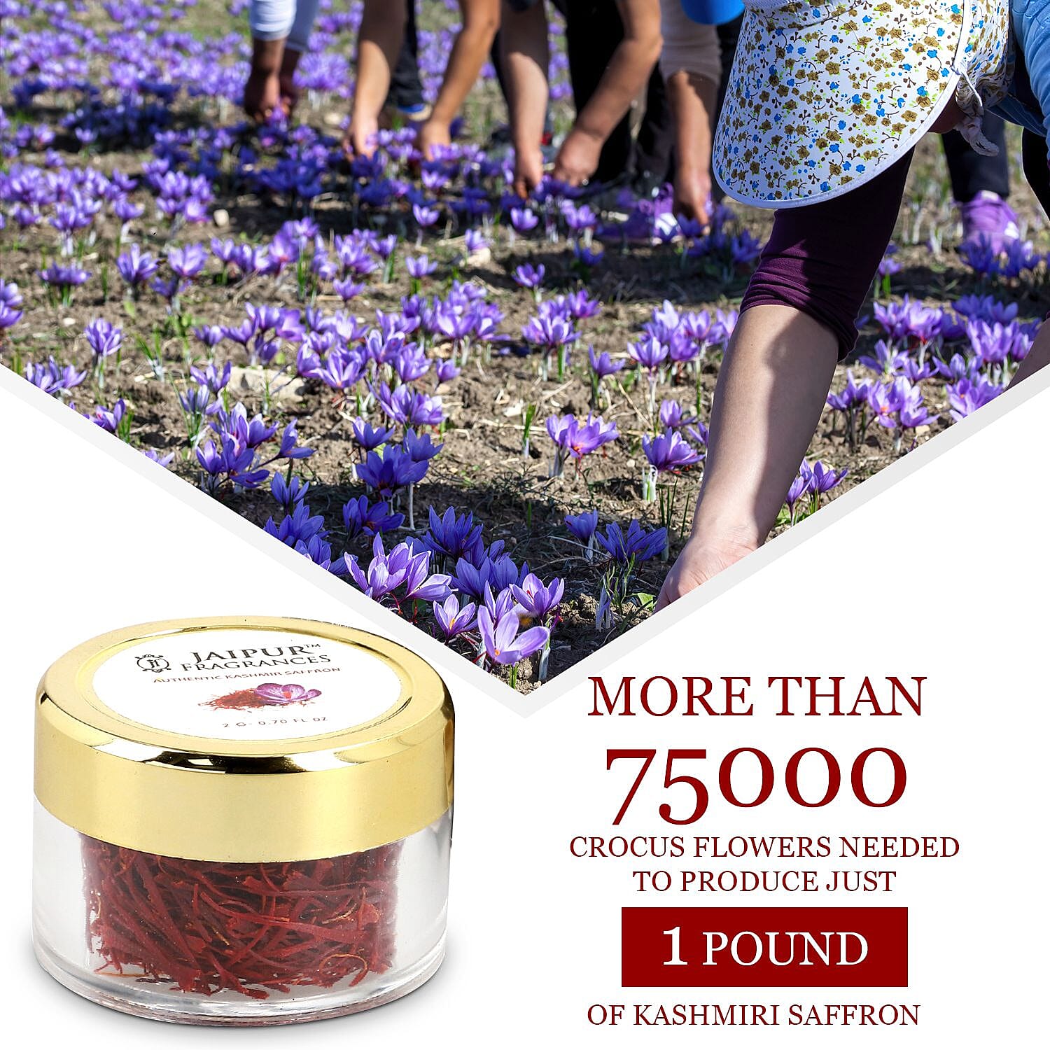 Certified 100% Pure - Natural KASHMIRI Mongra Grade Saffron - 2 GM