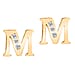 9K Yellow Gold A Cubic Zirconia Earring 0.03 ct, Gold Wt. 0.53 Gms 0.030 Ct.