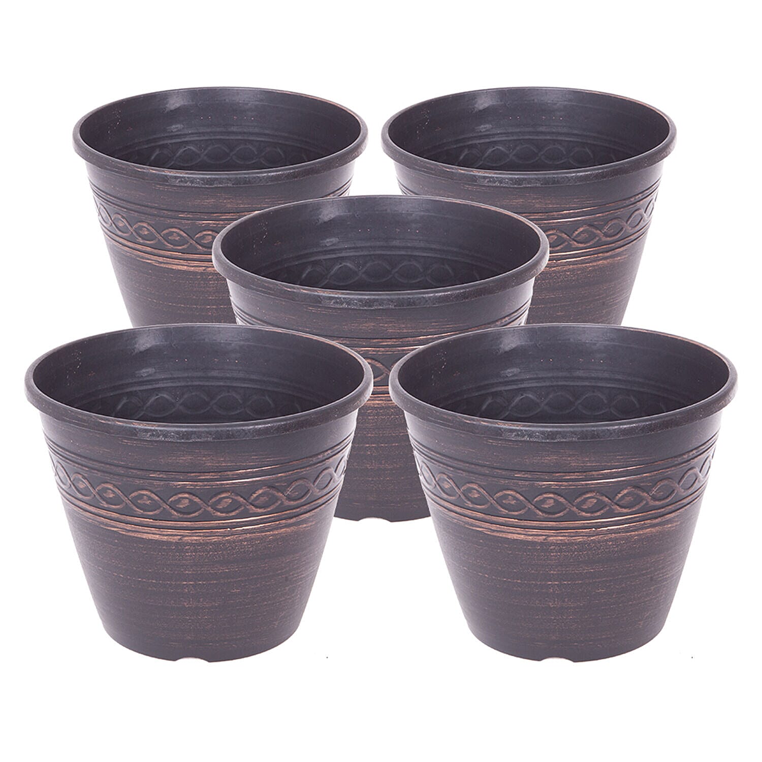 5 Fascination Bare Root Roses Inc Worlds Favourite Rose Pascali, Queen Elizabeth, Peace PLUS 5 Copper Planters