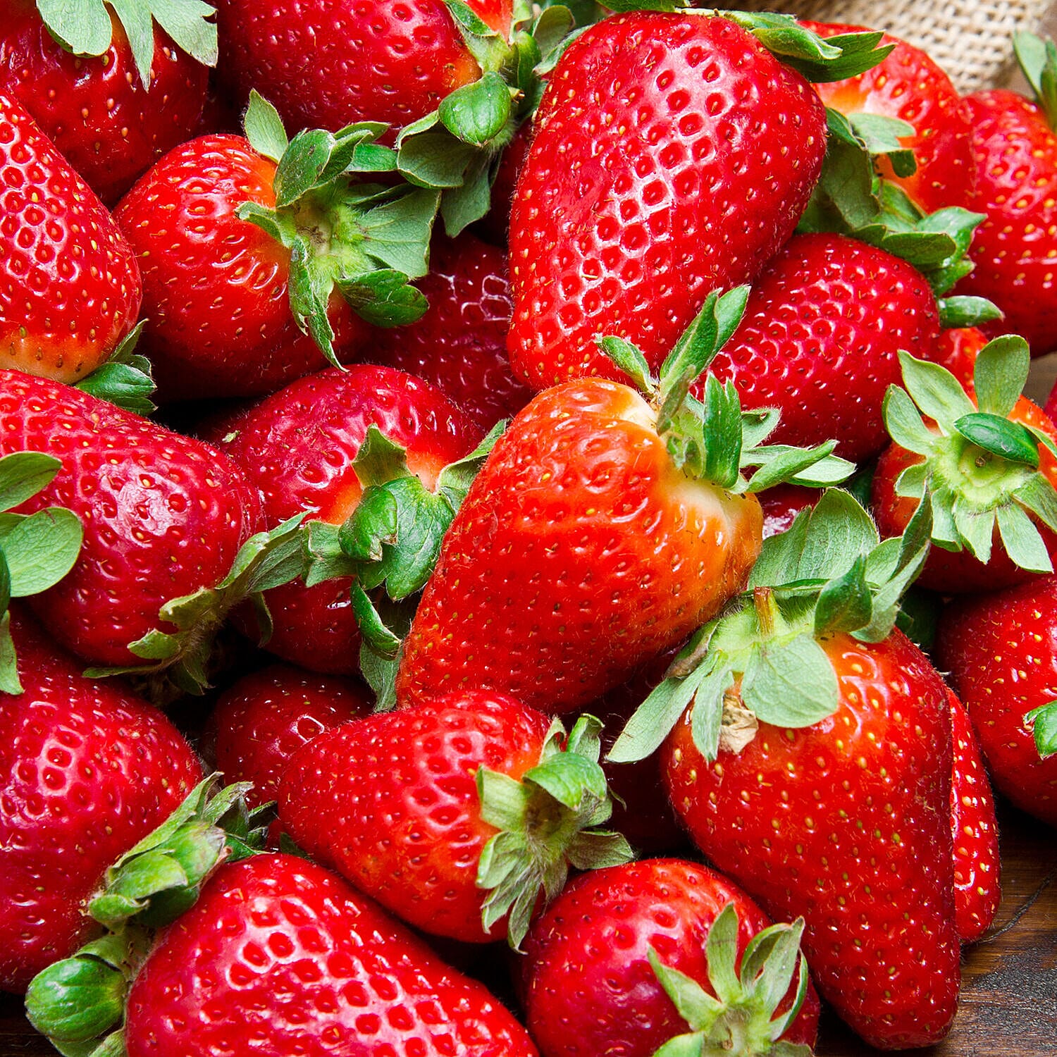 10 Perpetual Juicilicious Strawberry Runners