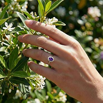 https://tjcuk.sirv.com/Products/74/4/7442557/Amethyst-February-Birthstone-Halo-Ring-with-Natural-Cambodian-Zircon-i_7442557_2.jpg?w=342&h=342
