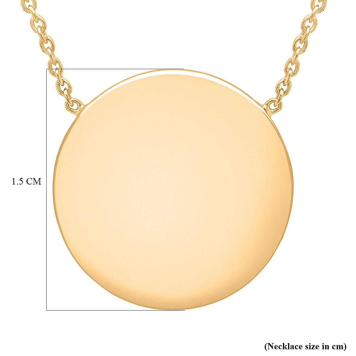 Sterling Silver NecklaceE (Size - 17)