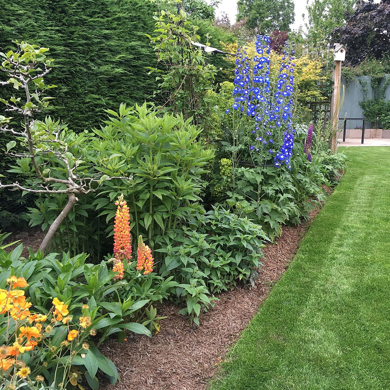 Strulch Mineralised Straw Garden Mulch 9kg Bag