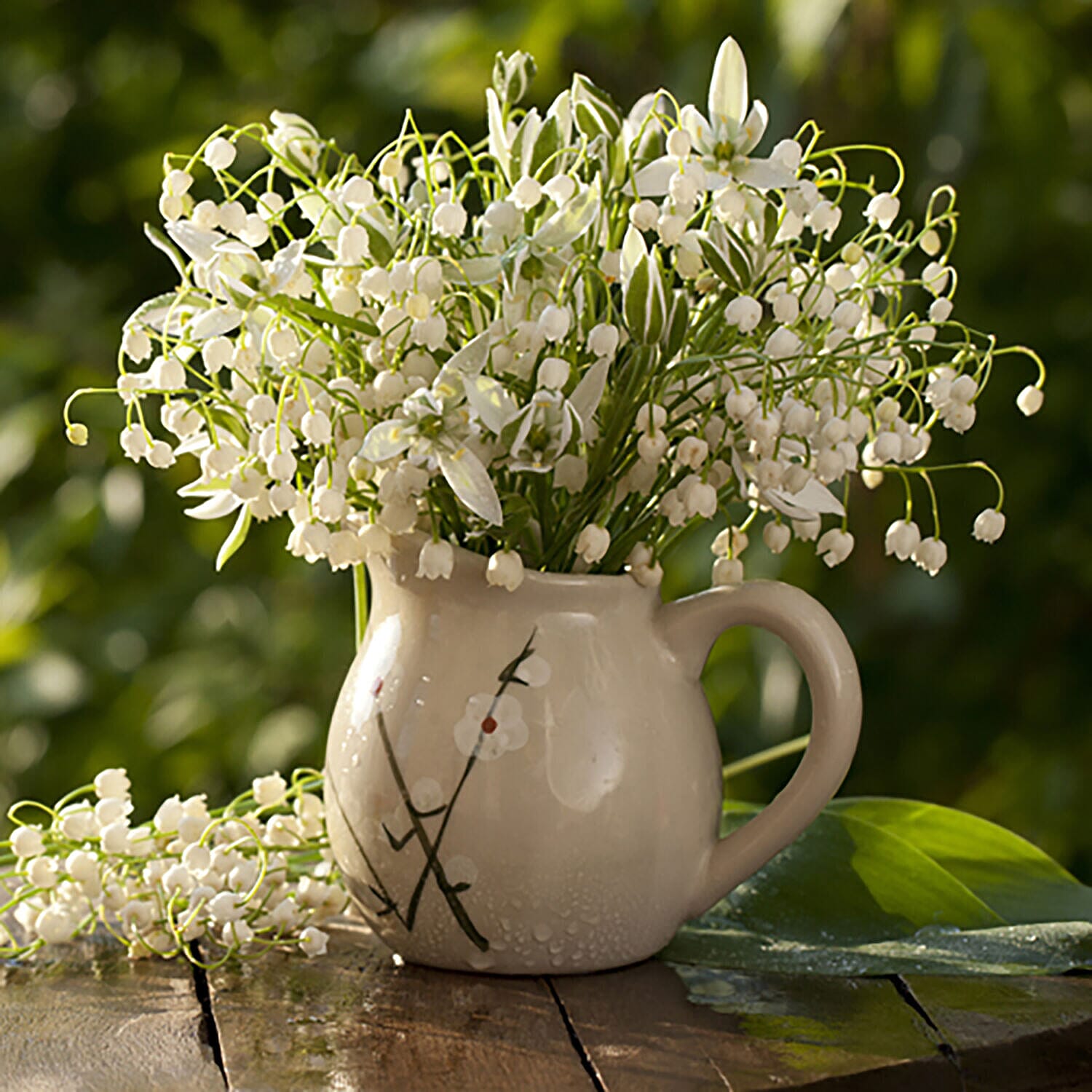 20 Lily of the Valley Pips