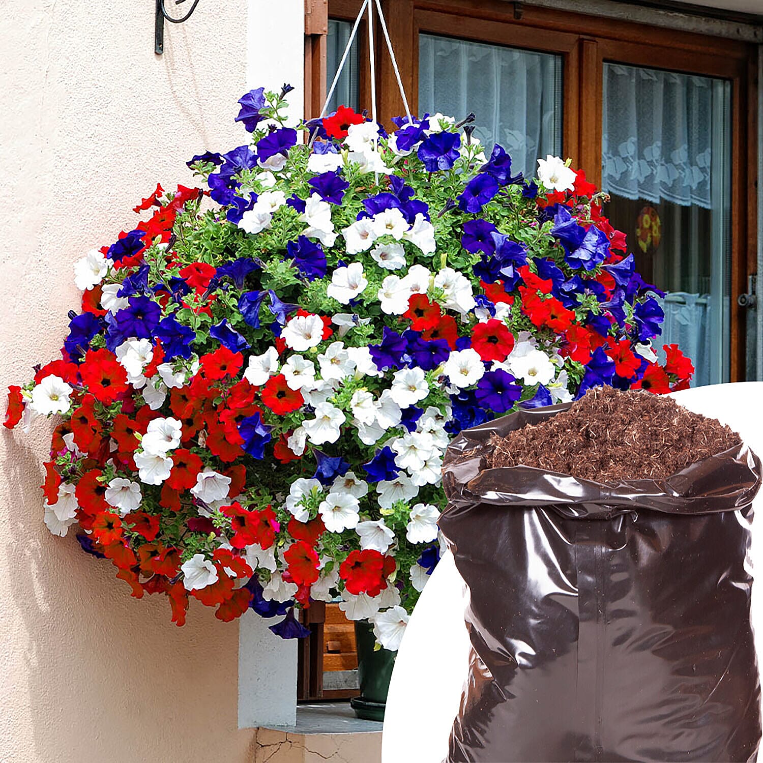 Best of British Petunia Hanging Basket Kit x12 Plugs, x2 Hanging Baskets - 20L Compost