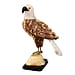 Tucson Find - Gem Decor Eagle Bird Figurine (Length 4 cm, Height - 9.5 Cm) - Black