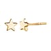 18K Vermeil Yellow Gold Over Sterling Silver Star Earrings (with Push Back)