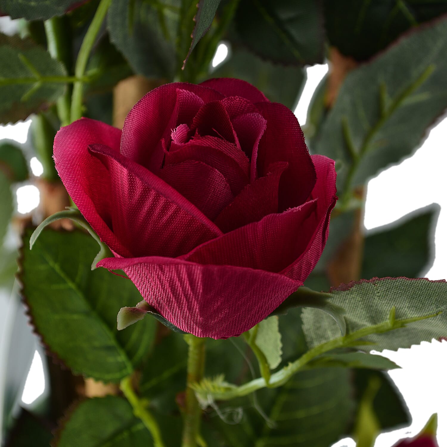 Multi-Stemmed Rose (Size 97x18 cm) - Dark Pink