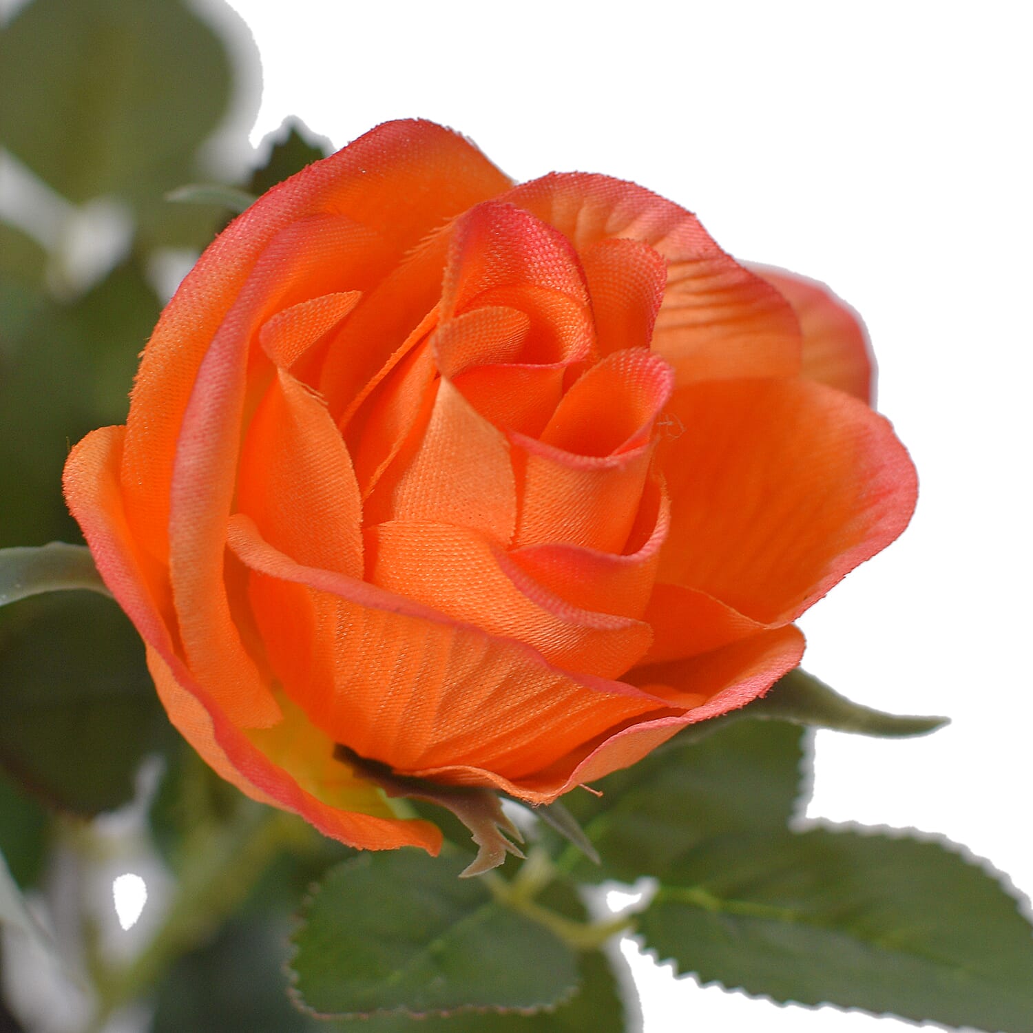 Multi-Stemmed Rose (Size 97x18 cm) - Orange