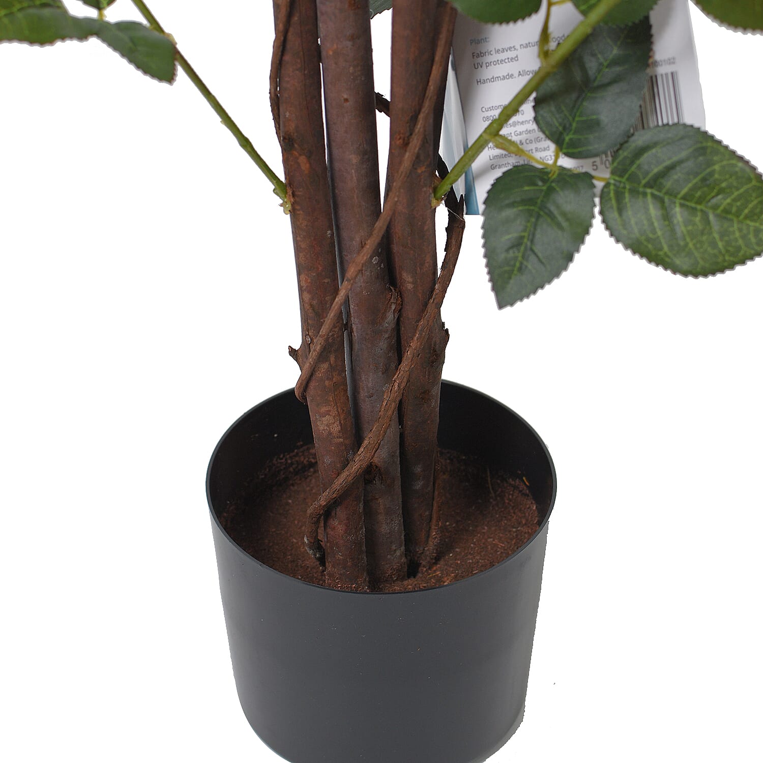 Multi-Stemmed Rose (Size 97x18 cm) - Orange