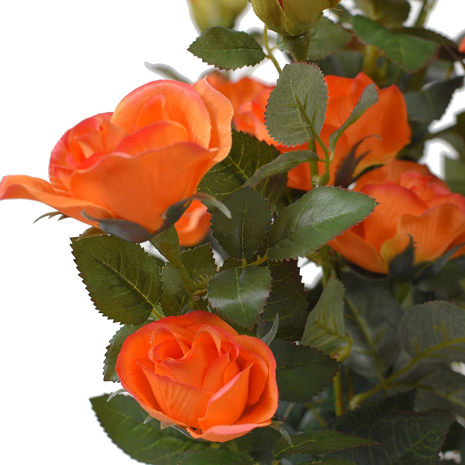 Multi-Stemmed Rose (Size 97x18 cm) - Orange