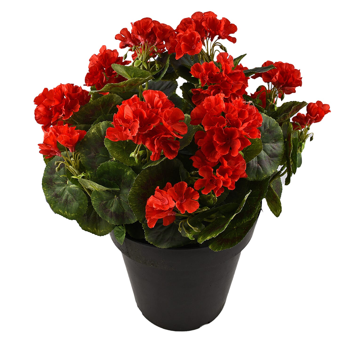 Red Geranium Pot (Size 45x20 cm) - Red