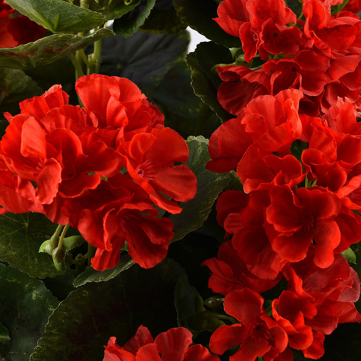 Red Geranium Pot (Size 45x20 cm) - Red