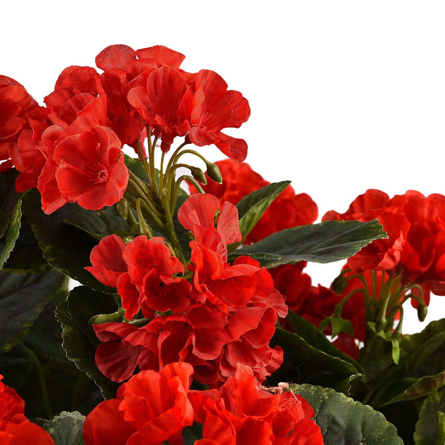 Red Geranium Pot (Size 45x20 cm) - Red