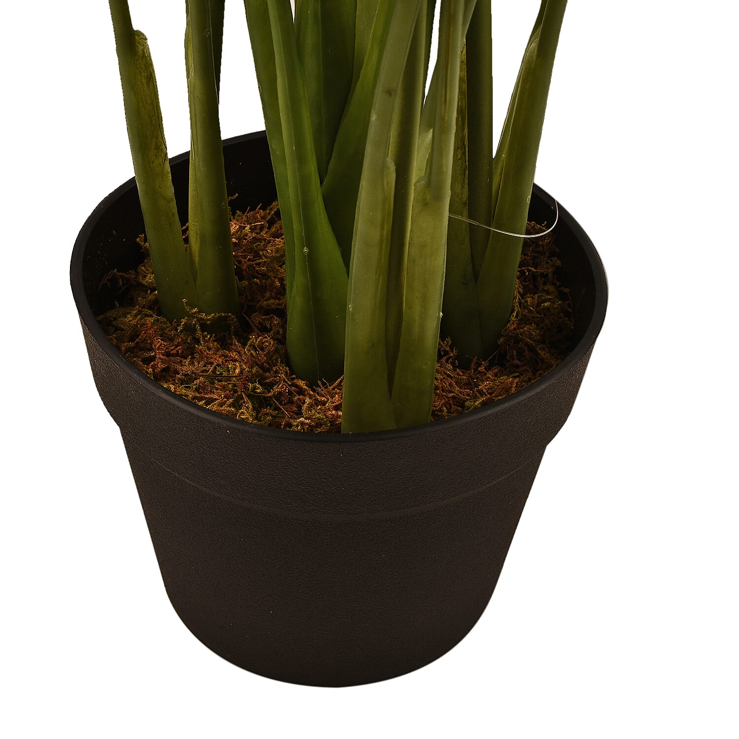 Calla Lily (Size 75x13 cm) - Red