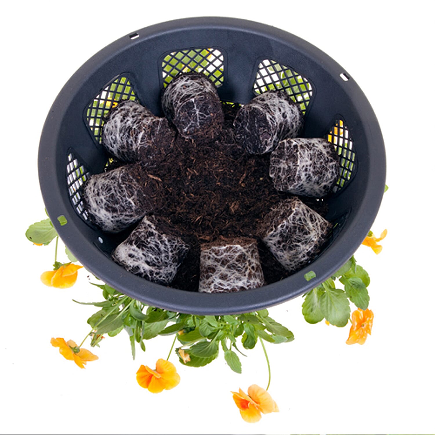 Pair of Easy Fill Baskets (15 Inch) With 40L Compost