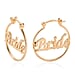 Earrings (with Clasp) in Rose Gold Tone