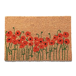 Coir Dog Rug and Door Mat - Brown and Black