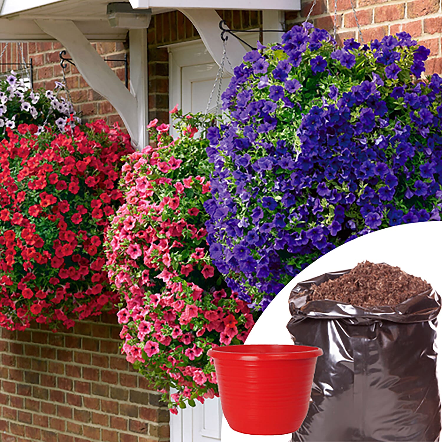 4 Red Planters with 12 Petunia & Lobelia Plug Plants with 40L Compost