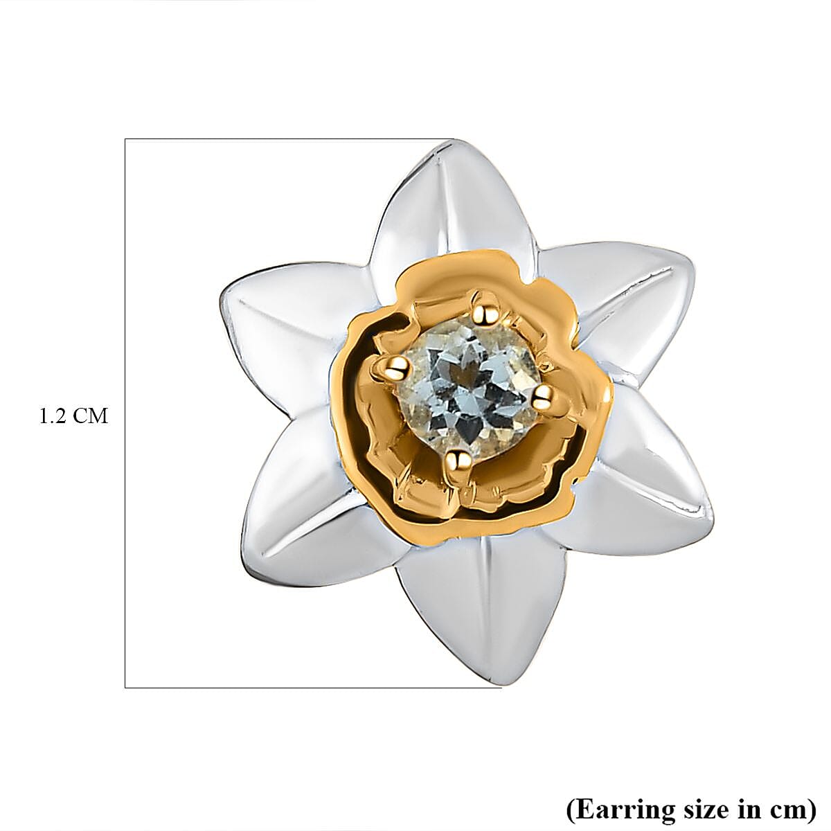 Aquamarine Floral Earrings (with Push Back) in Platinum and Gold Overlay Sterling Silver