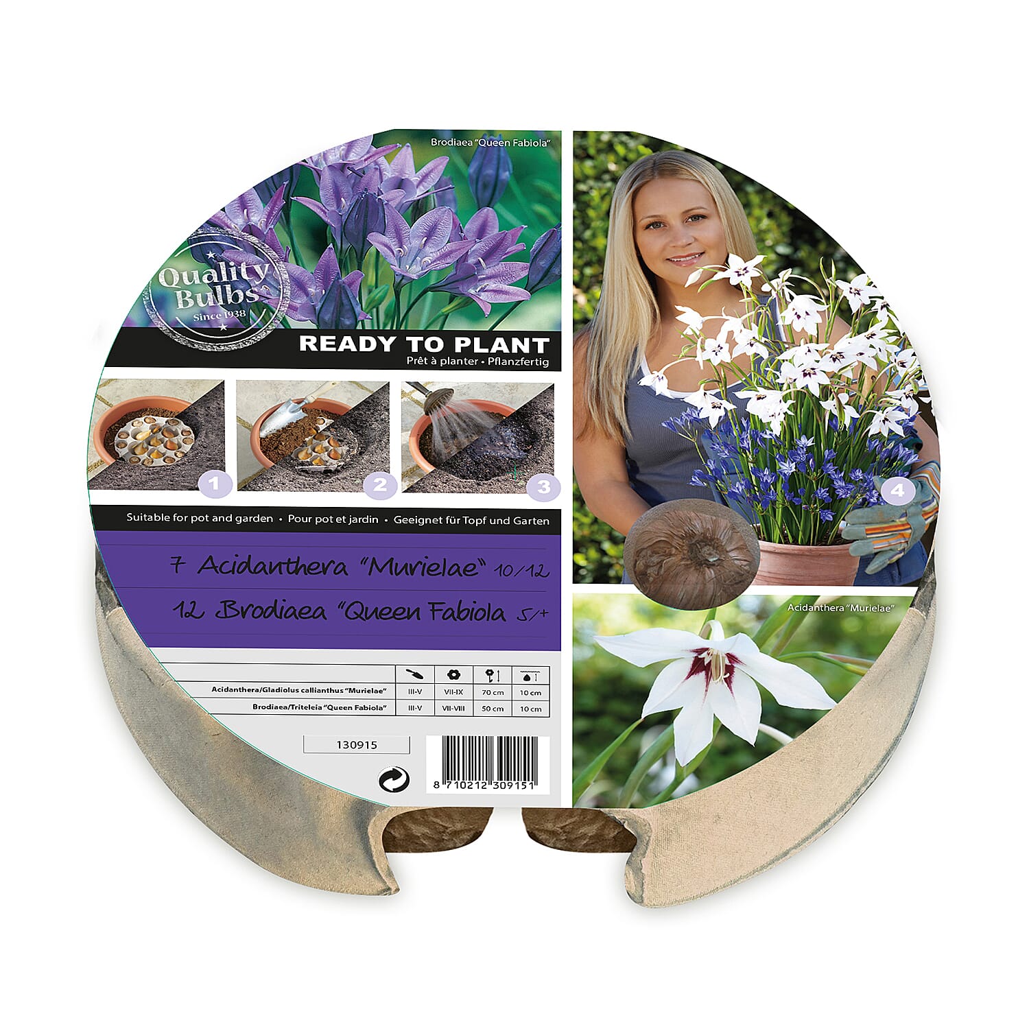 Plant-O-Mat Acidanthera and Brodiaea Mix