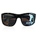 William Rast Wayferer with Polarized Lenses - Brown
