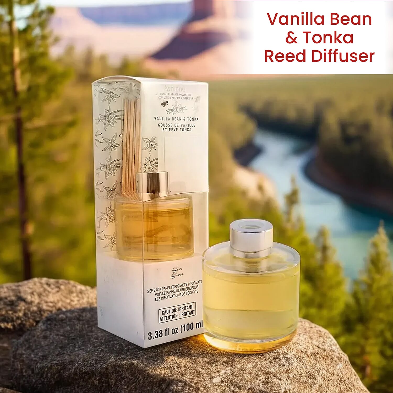 Reed Diffuser in Glass Jar with 7 Reeds Sticks (100ml) - Vanilla Bean & Tonka