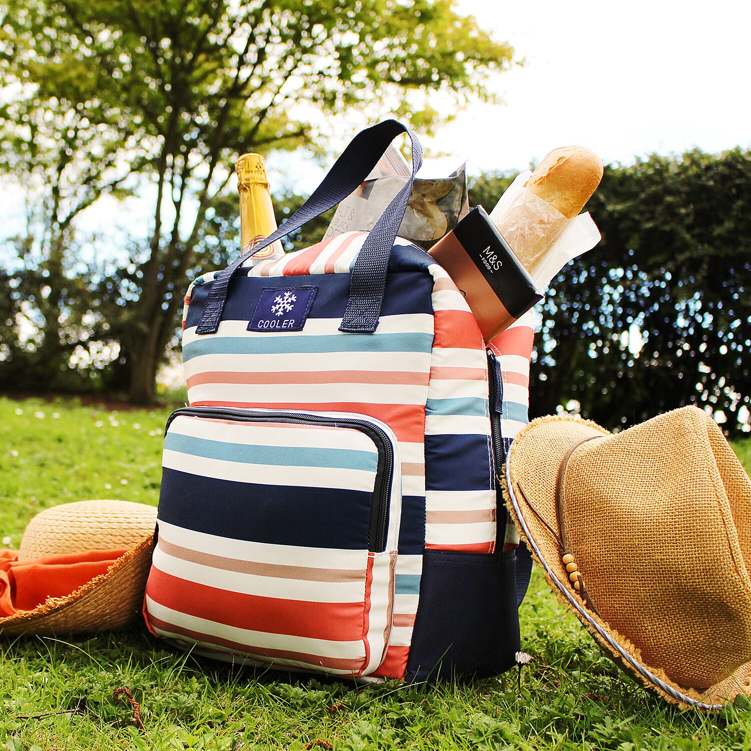 Striped Picnic Cooler Bag ( 20 L) - Multi