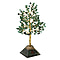 Green Jade Handmade Gemstone Tree of Life Table Decor with Orgone Pyramid Base (Size-22x7 Cm) - Pink