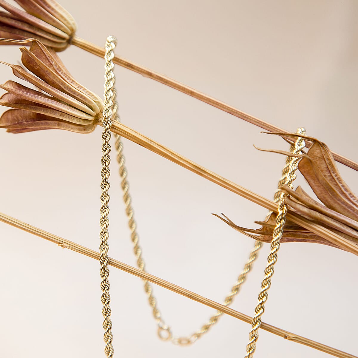 9K Yellow Gold  Chain (Size - 22),  Gold Wt. 3.1 Gms