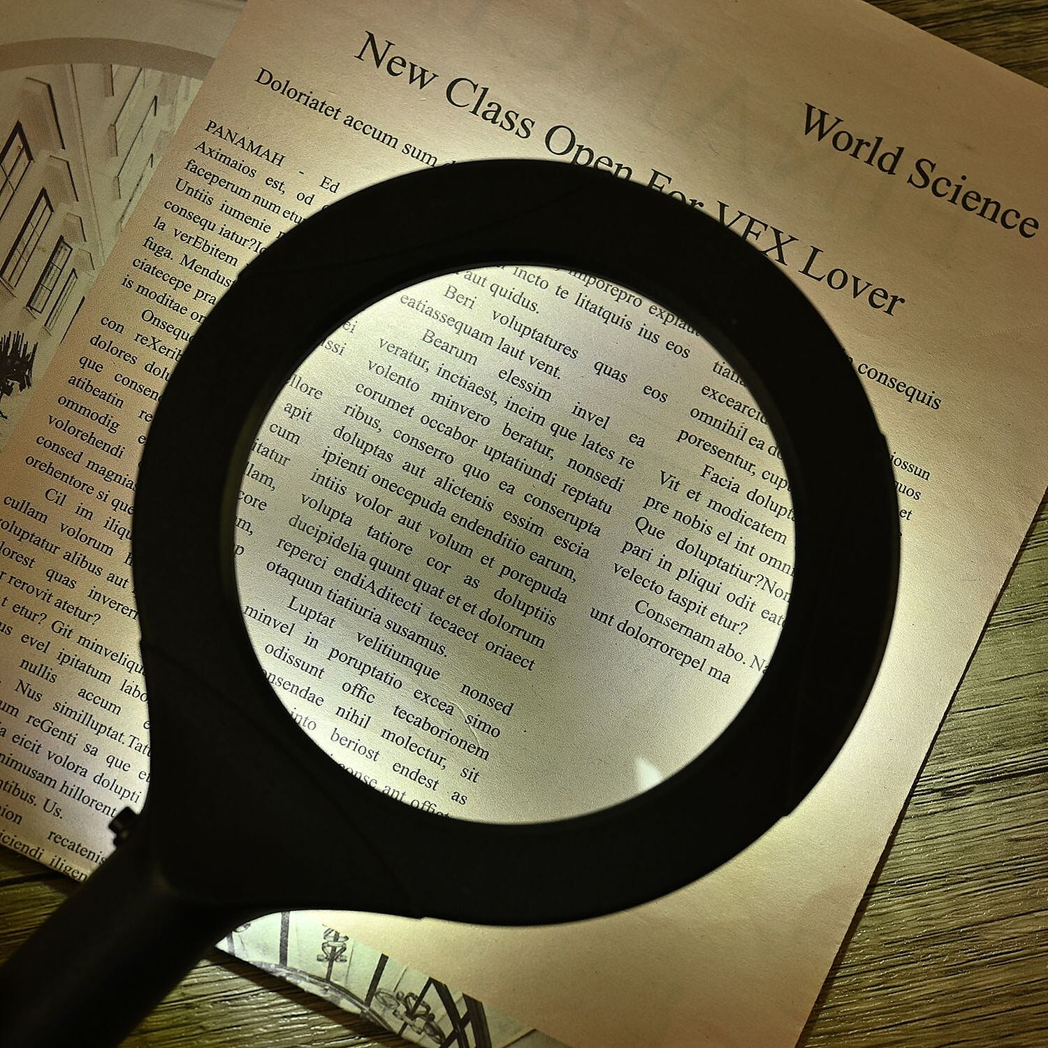 3 COB LED Powered Reading Magnifying Glass Lens 3X Reading (2 AA  Batteries, Not Incl.) - Black