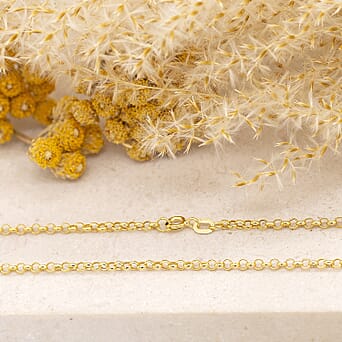 https://tjcuk.sirv.com/Products/75/7/7579347/9K-Yellow-Gold-Chain-Size-20-Gold-Wt-1-8-Gms_7579347_2.jpg?w=342&h=342