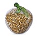 Glass Ornament Bling Diamond Crystal Filled Apple Shape - Green