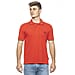19V69 ITALIA by Alessandro Versace 100% Cotton Polo T-Shirt - Grey
