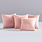 Luxury Edition - Set of 4 Teddy Fleece Cushion Covers - Pink