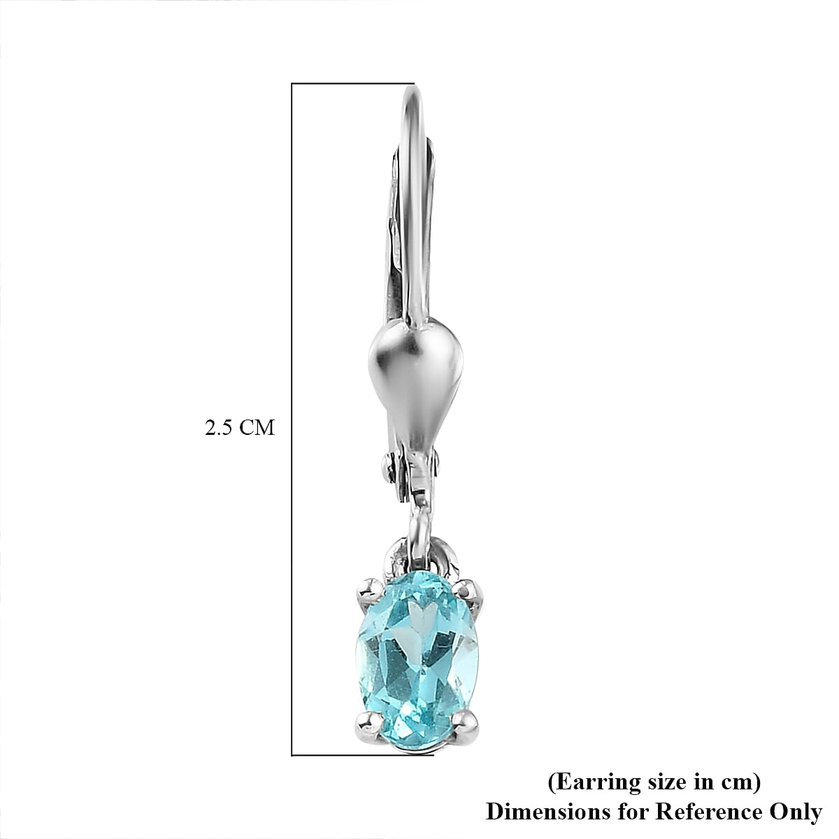 Blue Apatite Lever Back Earrings in Platinum Overlay Sterling Silver 1.00 Ct.