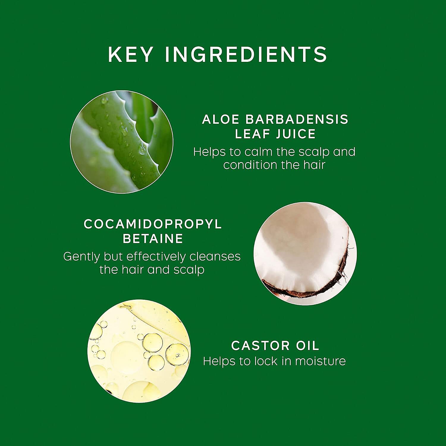 Philip Kingsley Flaky-Itchy Scalp Shampoo 250ml