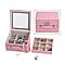 LIQUIDATION DEAL - Multi-Purpose Vanity Box with LED Mirror - Pink