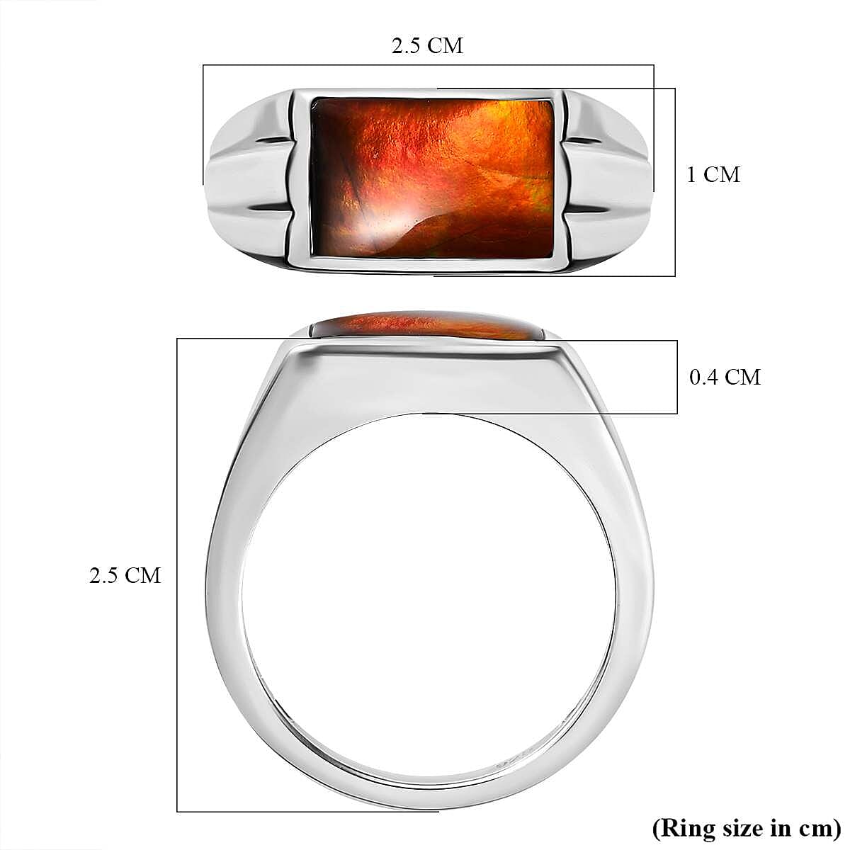 Ammolite SIGNET Ring (Bgt 12X8 mm) in Platinum Overlay Sterling Silver 3.12 Ct, Silver Wt 5.34 GM