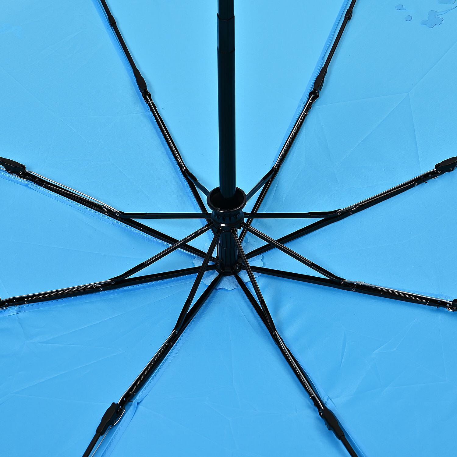 Picnic Accessories  - White & Blue